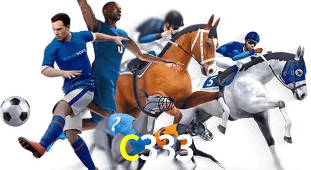 C333